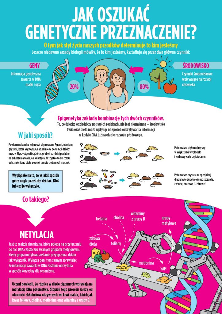 Infografika_Jak-oszukać-genetyczne-przeznaczenie
