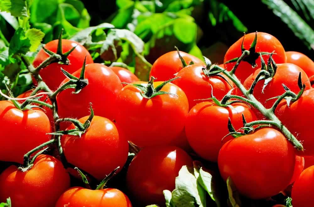 pomidory-1280859